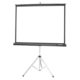 RTHAV - Tripod / Cradle Video Projection Screen: 5' Rental