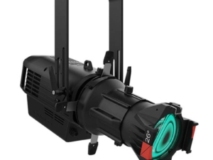 Chauvet Ovation Rêve E-3